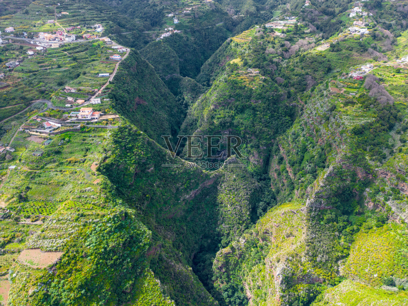 被茂密的绿色植被覆盖的火山峡谷。圣胡安位于西班牙加那利群岛拉帕尔马岛东北部。照片摄影图片