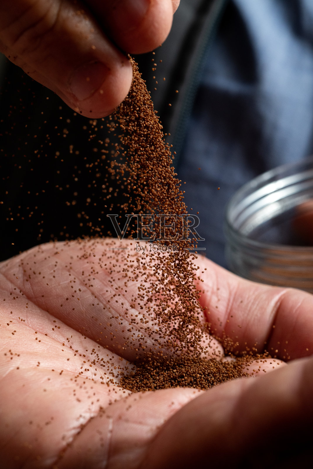 烟草种子倒在一个男人的手里。照片摄影图片