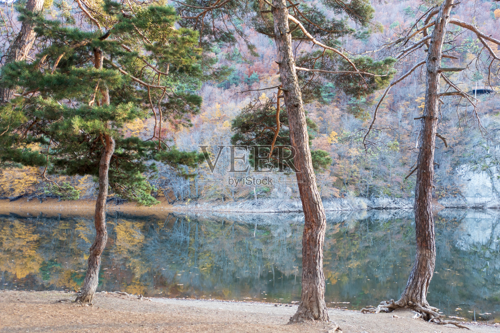 无人机在Boraboy拍摄的美丽的秋天湖面反射的鸟瞰图，它就像墙纸一样照片摄影图片