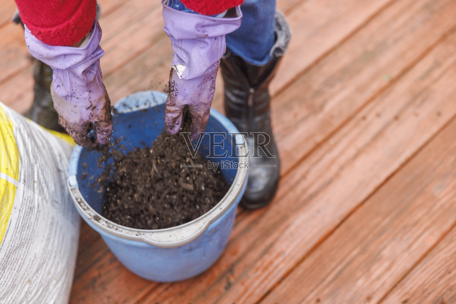 春苗种植。在桶里装满园艺用的土。照片摄影图片