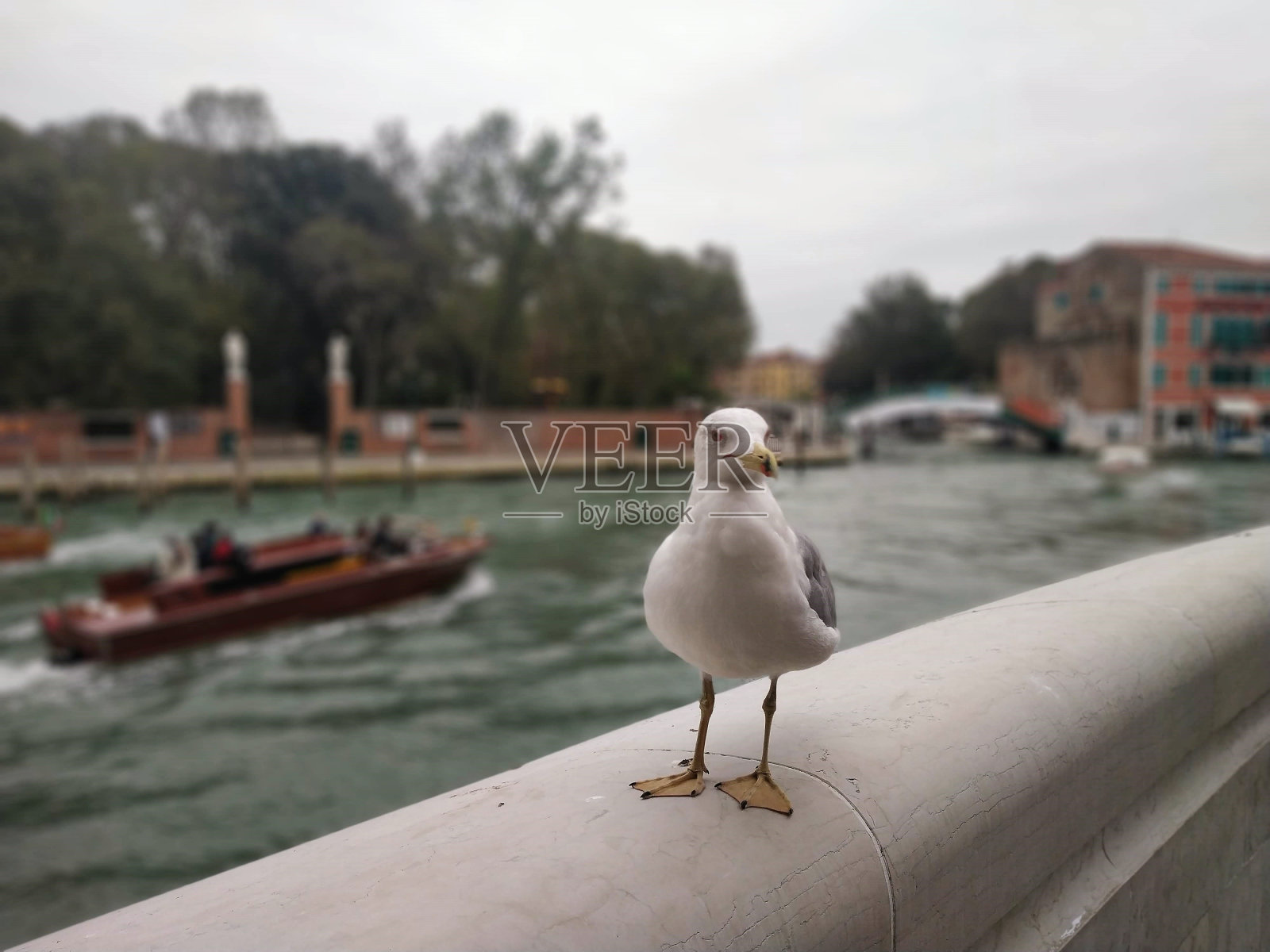 鸟瞰照片摄影图片