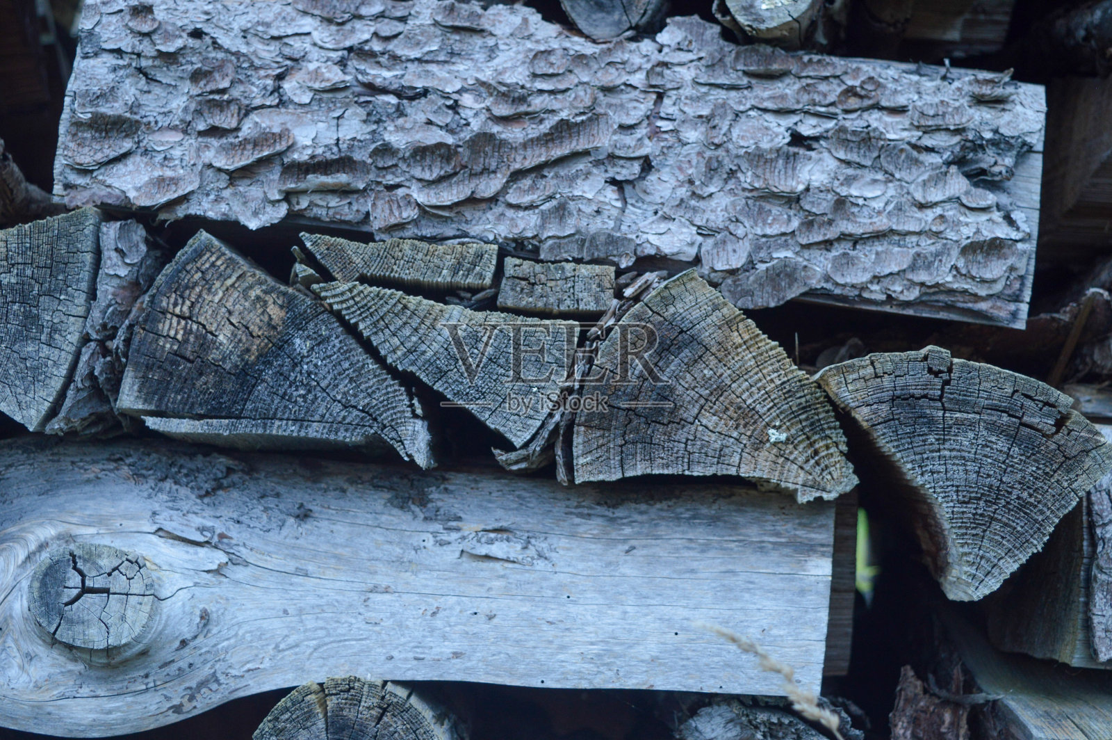砍下的木柴堆在花园里照片摄影图片