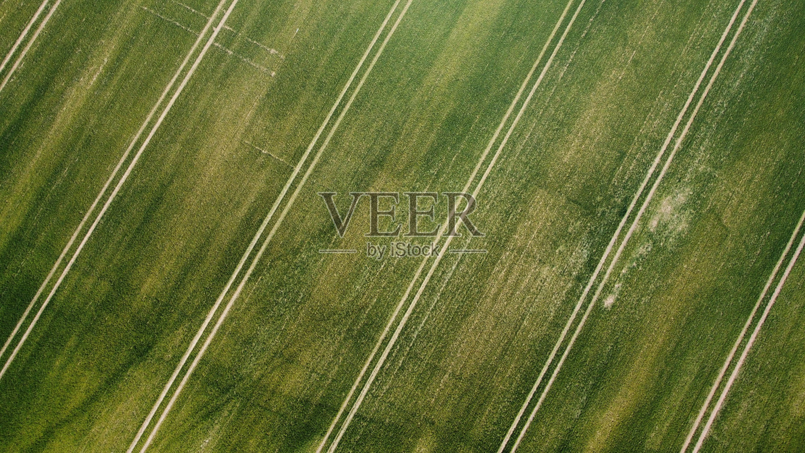 电场线照片摄影图片