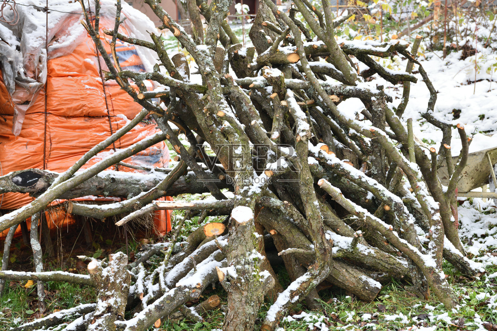 在村里用传统的方法在花园里砍树枝照片摄影图片
