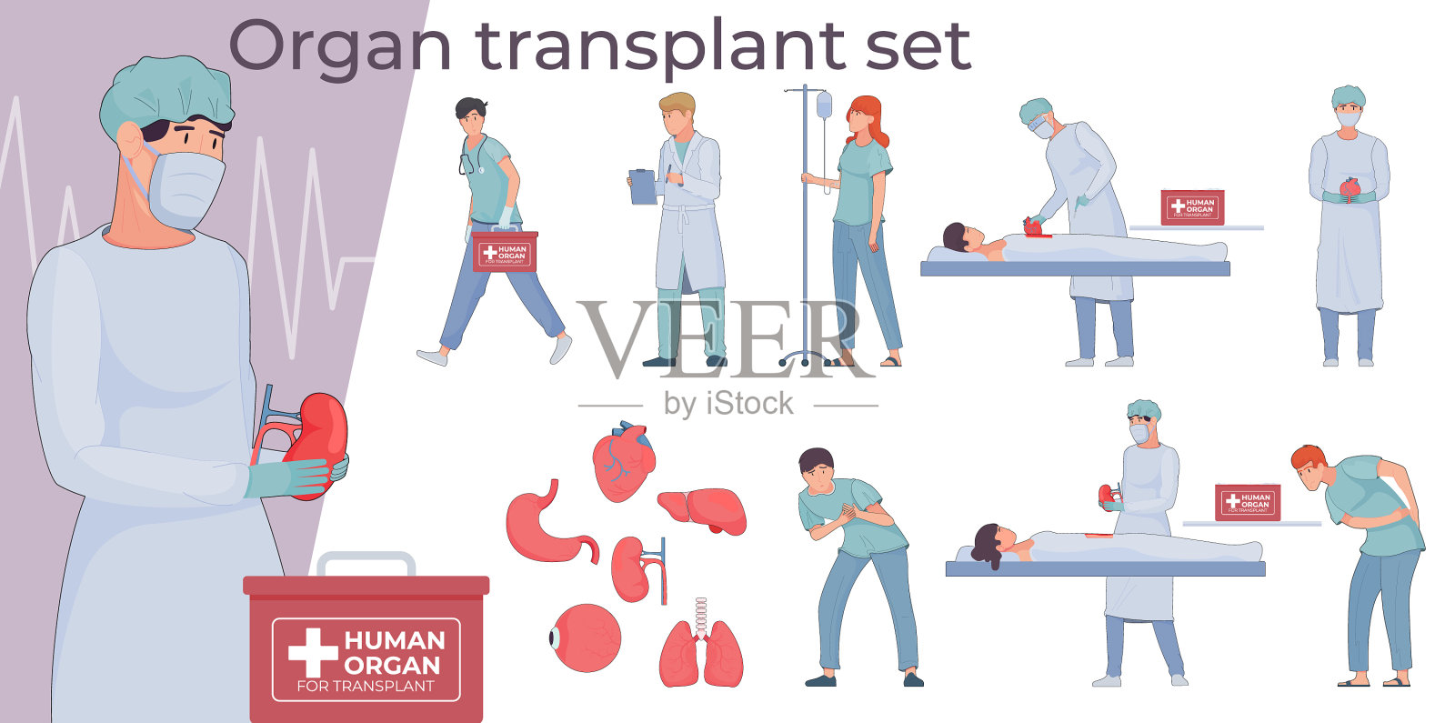 器官移植成套设备插画图片素材