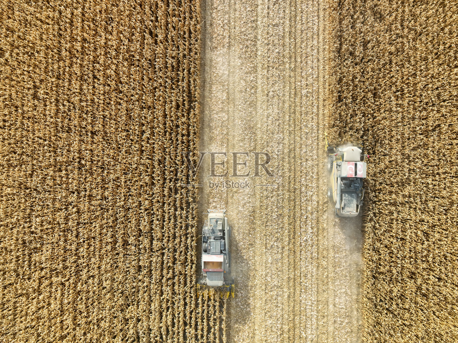 土耳其科尼亚，2022年11月12日，无人机鸟瞰玉米地的玉米收获镜头。照片摄影图片