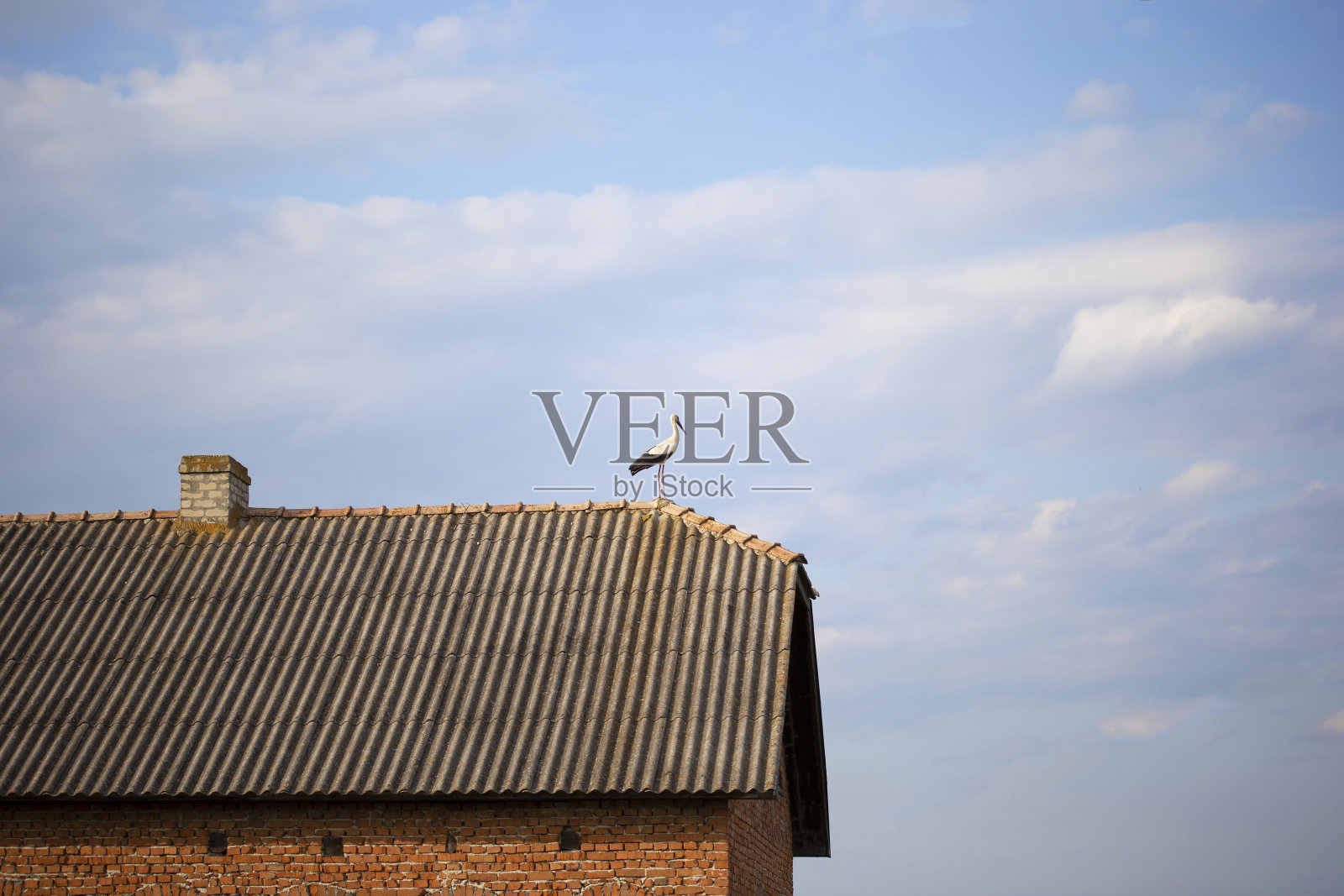 在乌克兰，鹳站在房子的屋顶上。照片摄影图片