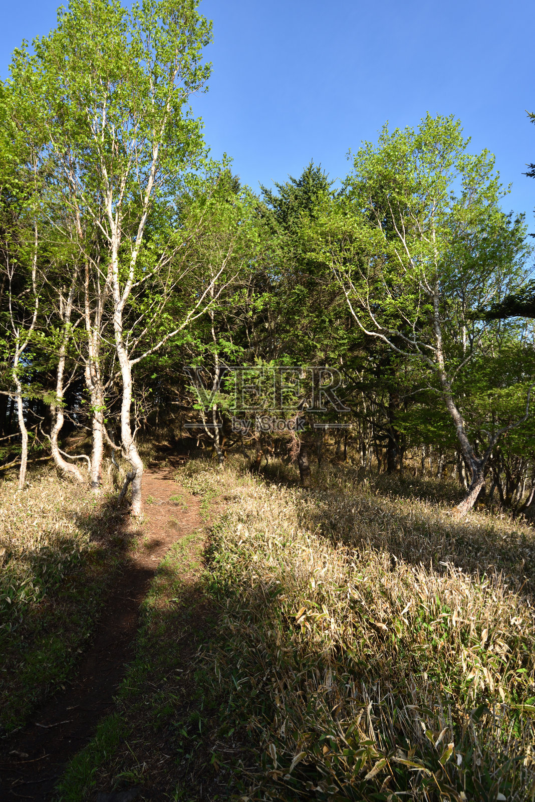 攀登高原山，枥木，日本照片摄影图片