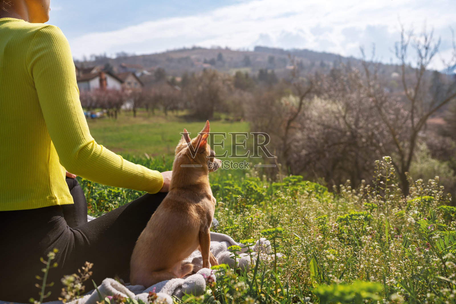 春天，女人和小狗坐在草地上享受大自然，自然观。照片摄影图片