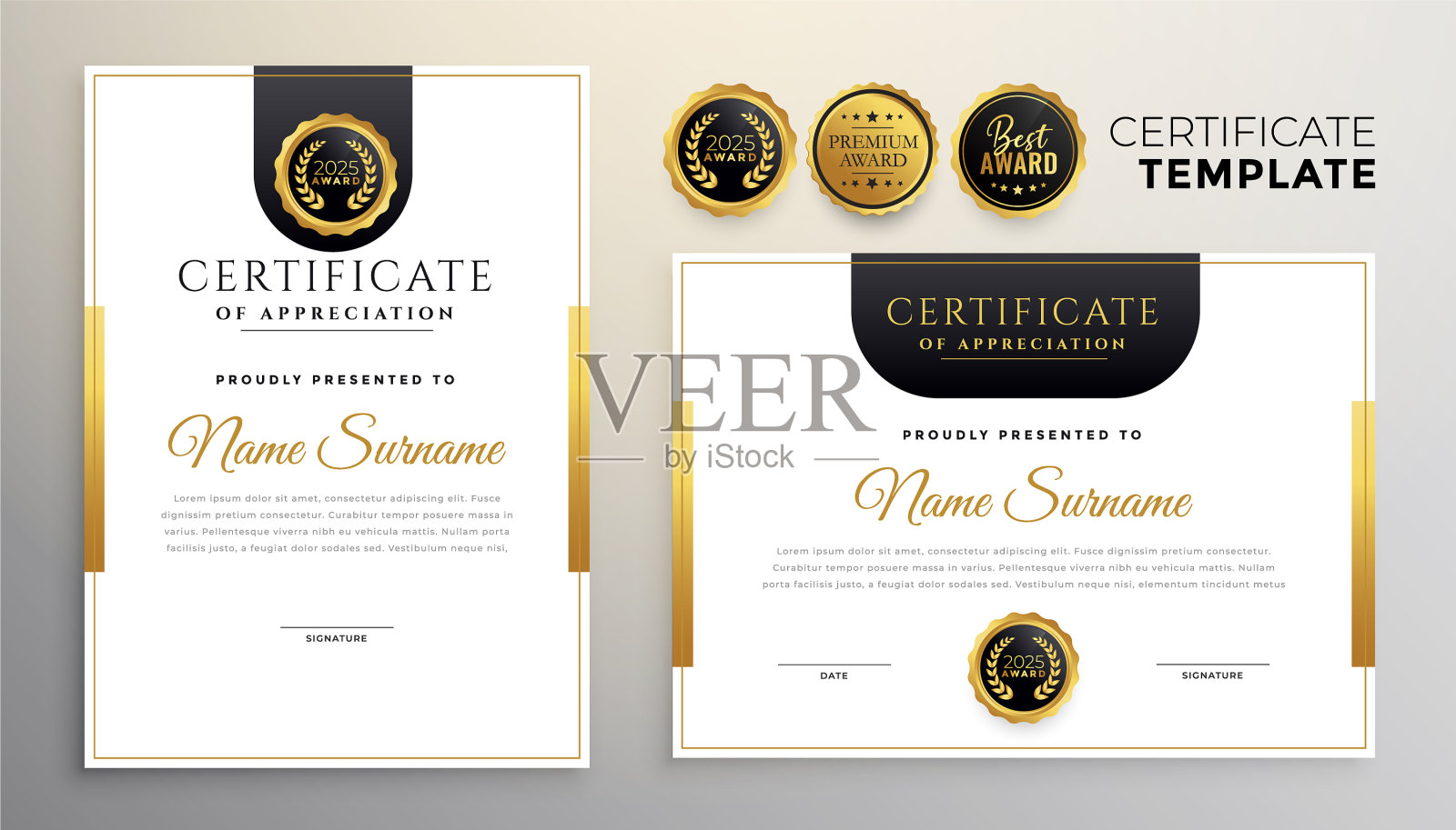 优雅的鉴赏证书现代插画图片素材