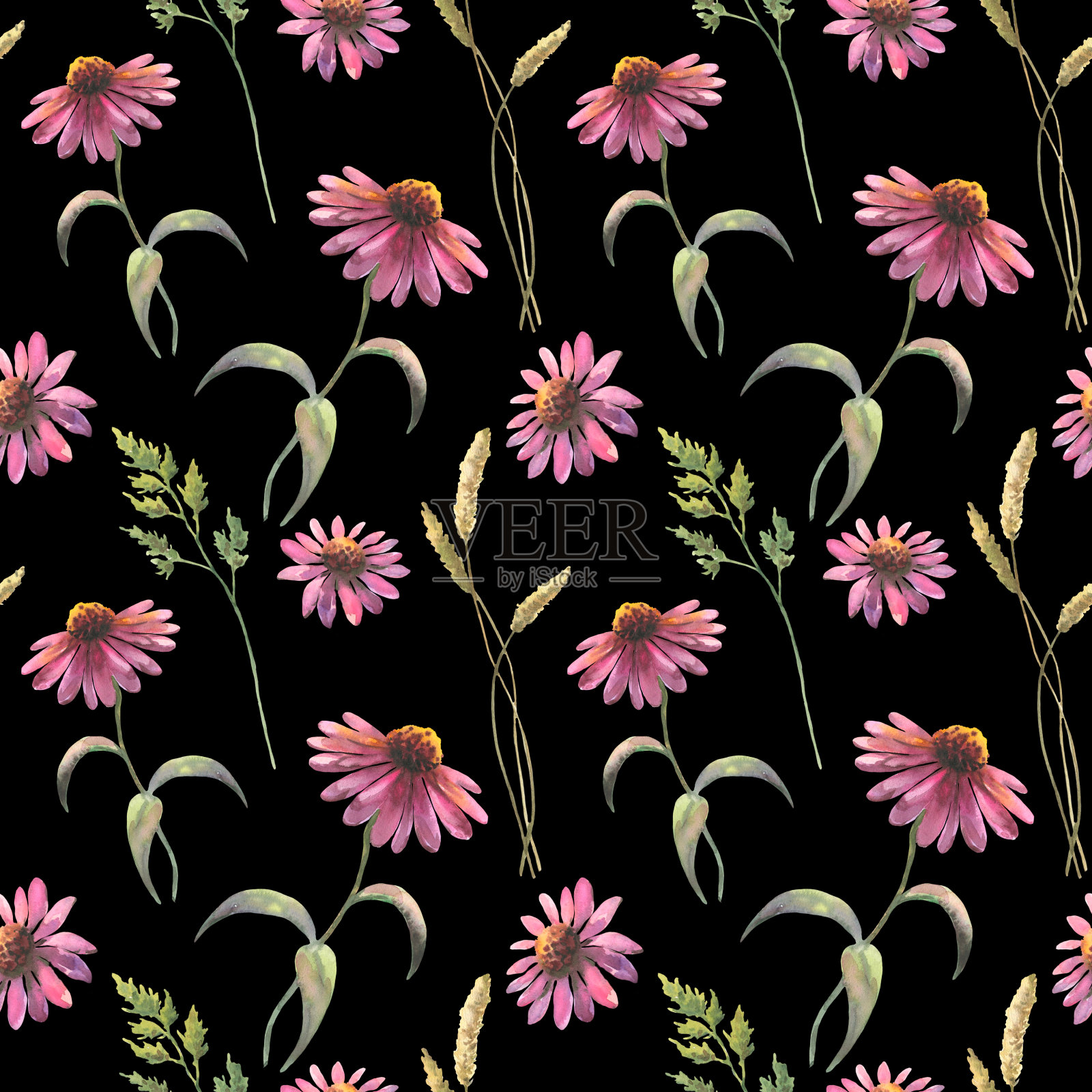 水彩无缝图案与紫锥菊花和田间草药，水彩画，手绘花卉插图，孤立在黑色背景，草药点缀。插画图片素材
