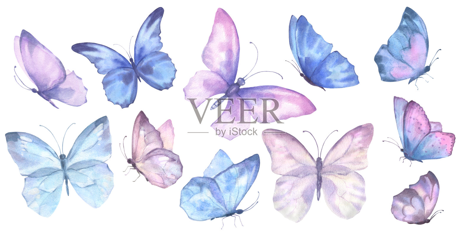 一套精致可爱的粉红和蓝色蝴蝶。水彩插图在白色背景上孤立的物体。用于装饰、浪漫设计、婚礼活动、纺织品、明信片、卡片制作插画图片素材