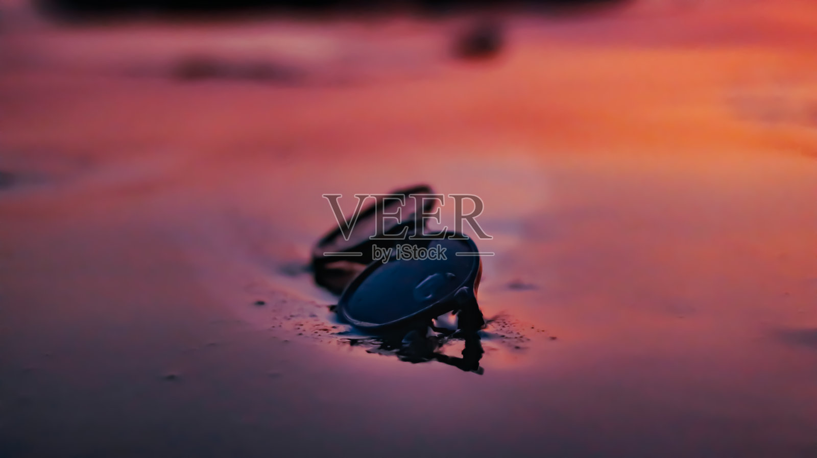 太阳镜在潮湿的沙滩上——夏日的背景照片摄影图片