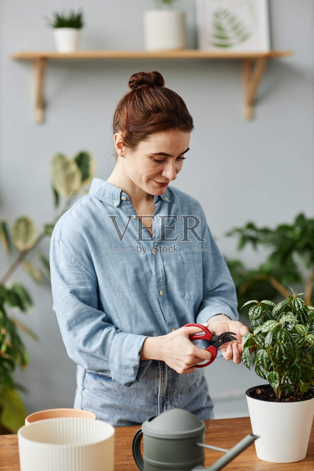 垂直微笑的妇女照顾盆栽室内和使用修剪照片摄影图片