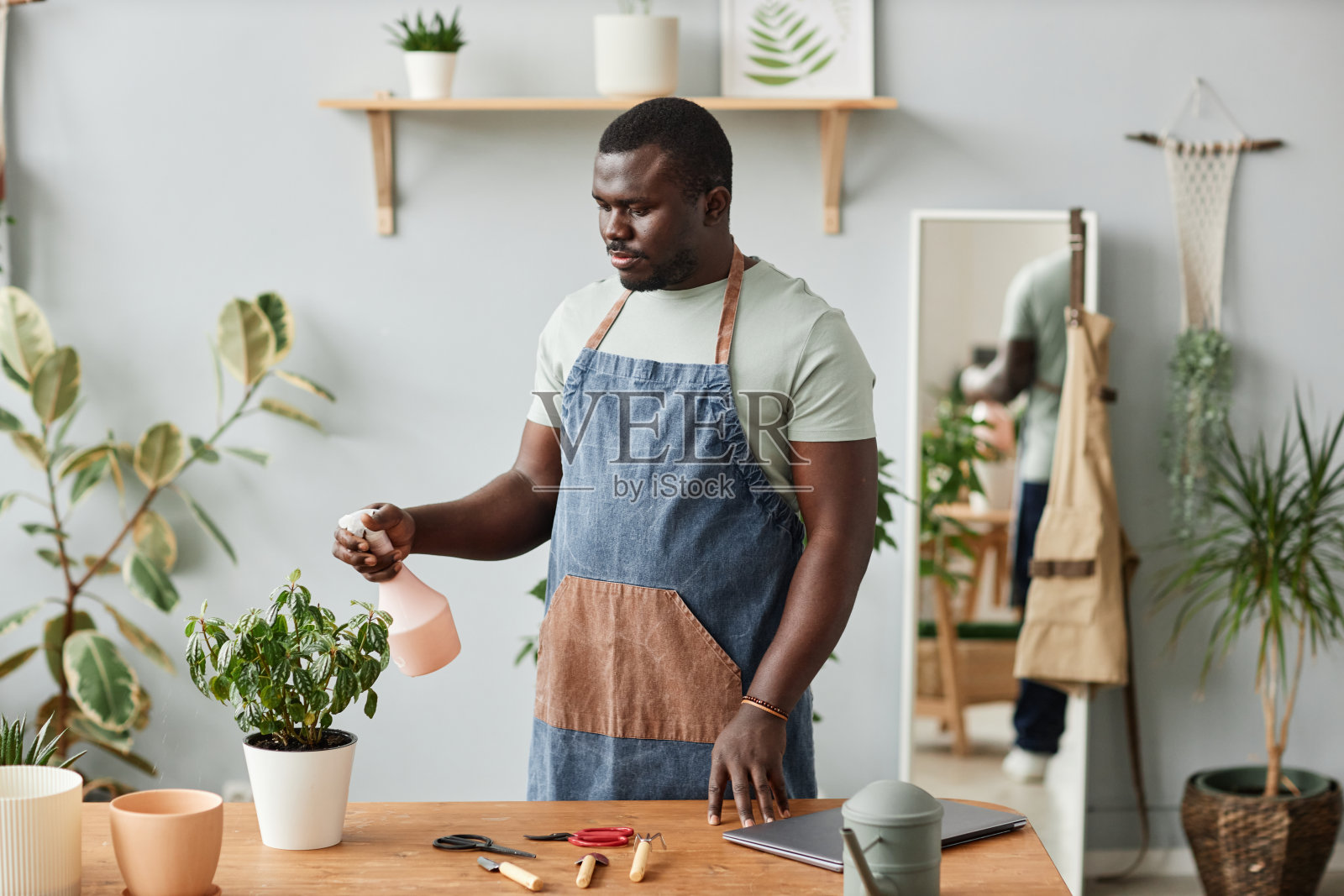 成年黑人男子在室内浇水，在家照顾绿色植物照片摄影图片