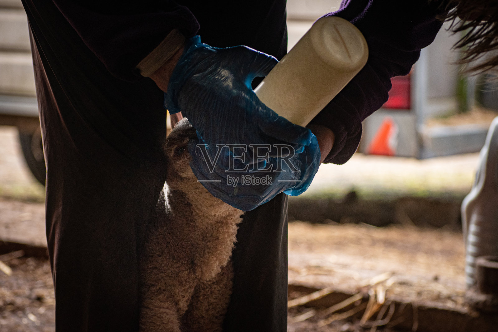 瓶喂照片摄影图片