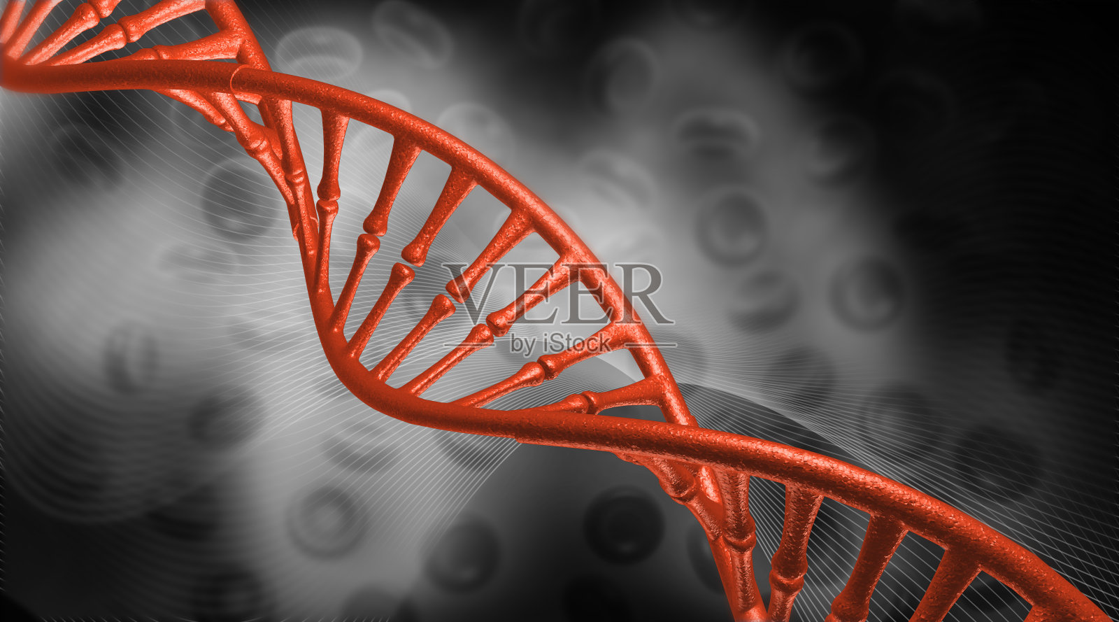 灰色背景上的DNA链照片摄影图片