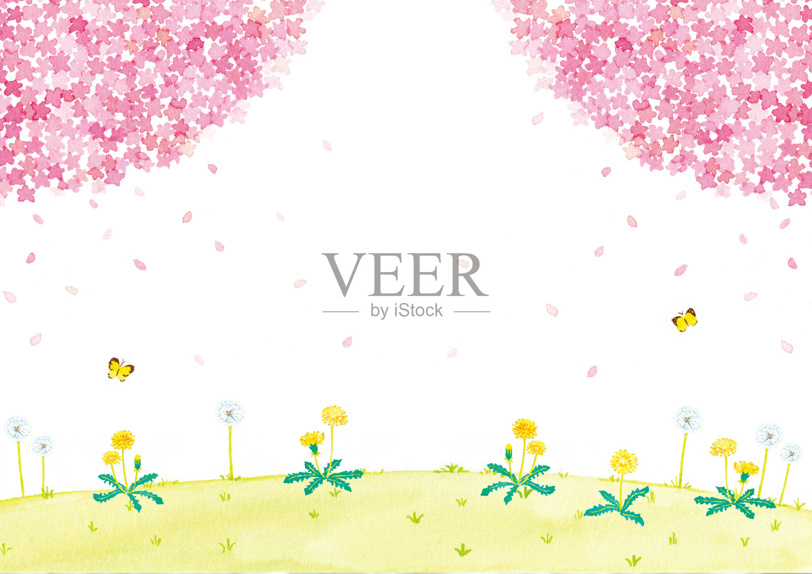 樱花和蒲公英田的水彩插图。插画图片素材