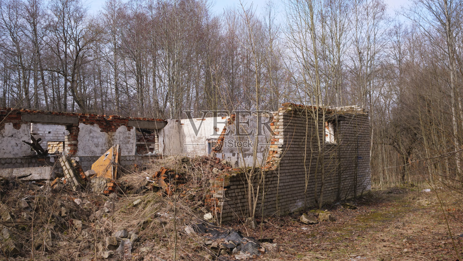 树林里的砖房废墟照片摄影图片