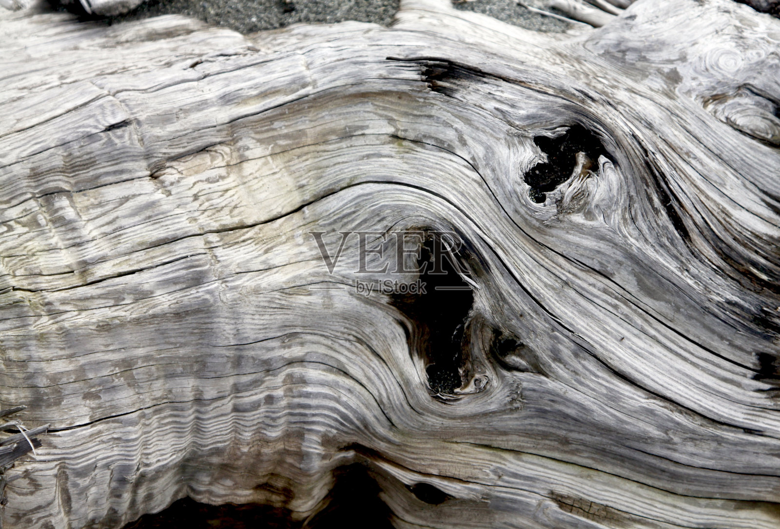 浮木上的图案照片摄影图片