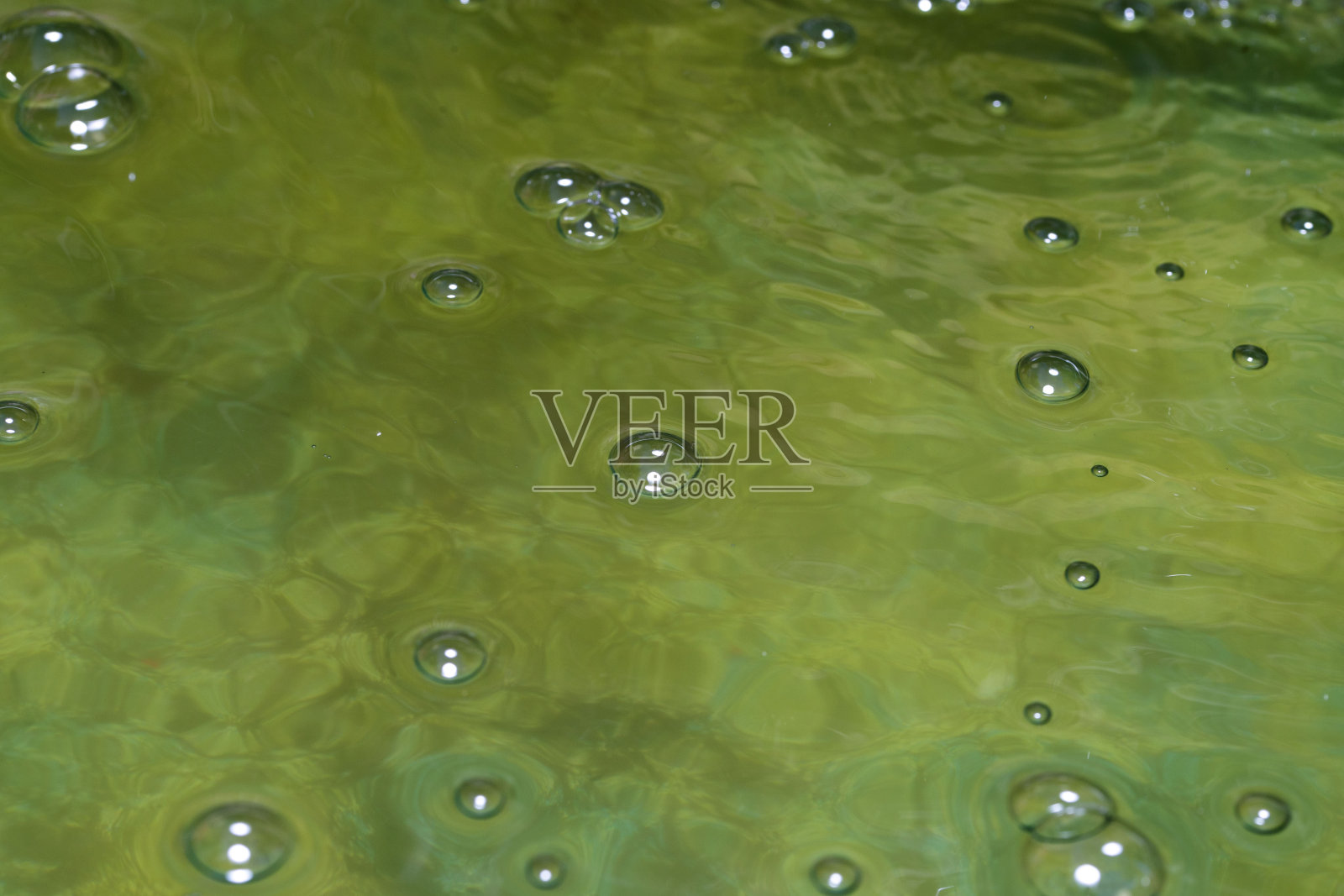 小池子里有泡泡照片摄影图片