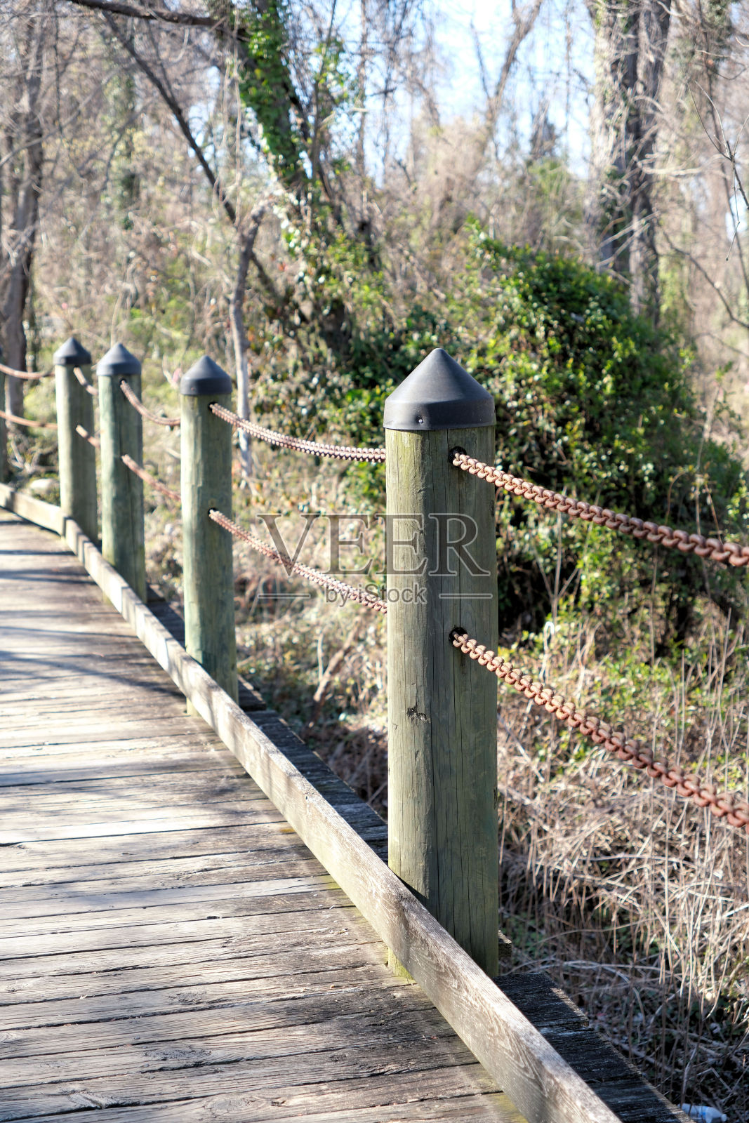 一个木板路照片摄影图片