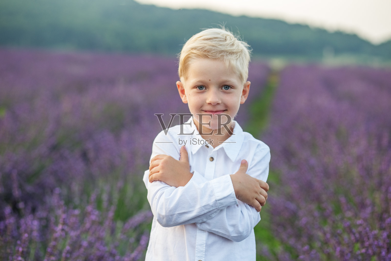 金发男孩的学龄。夏天紫薰衣草地里的孩子肖像。照片摄影图片