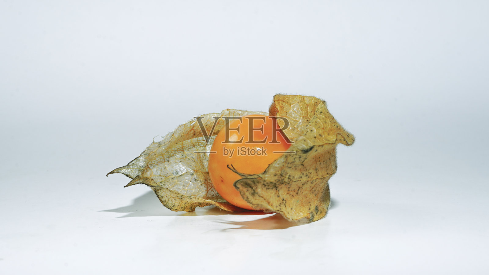 白色背景的海角醋栗果实照片摄影图片