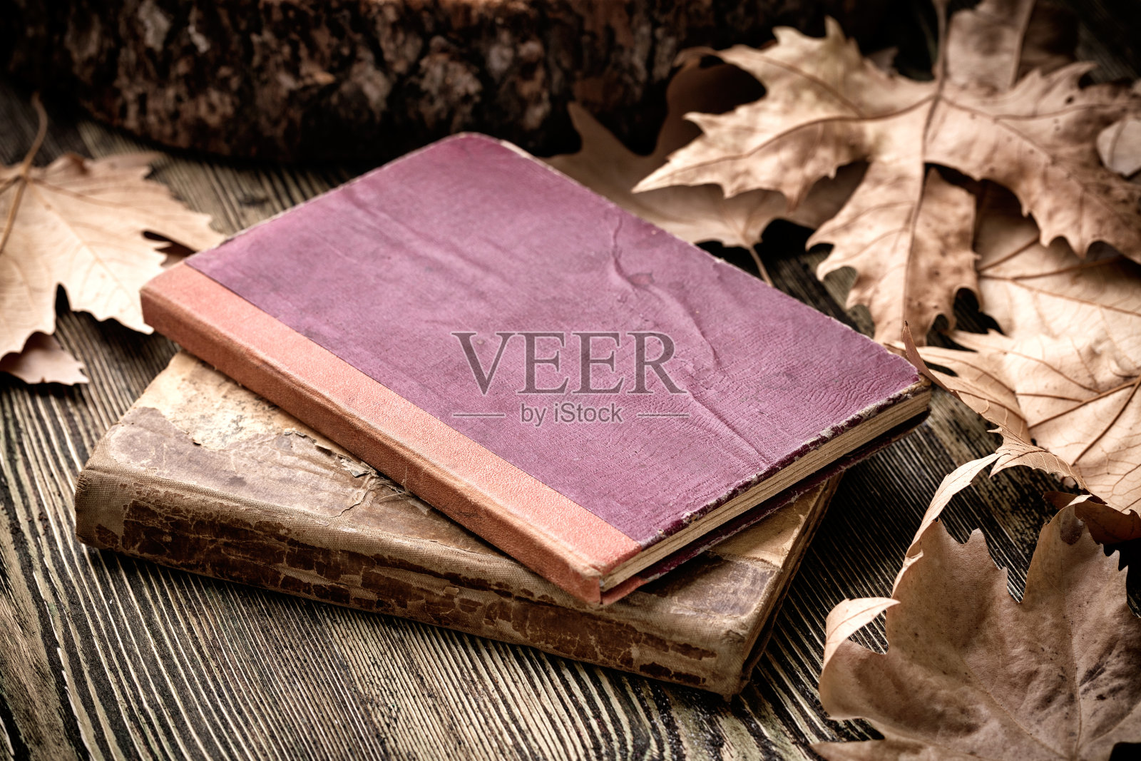 古董书照片摄影图片