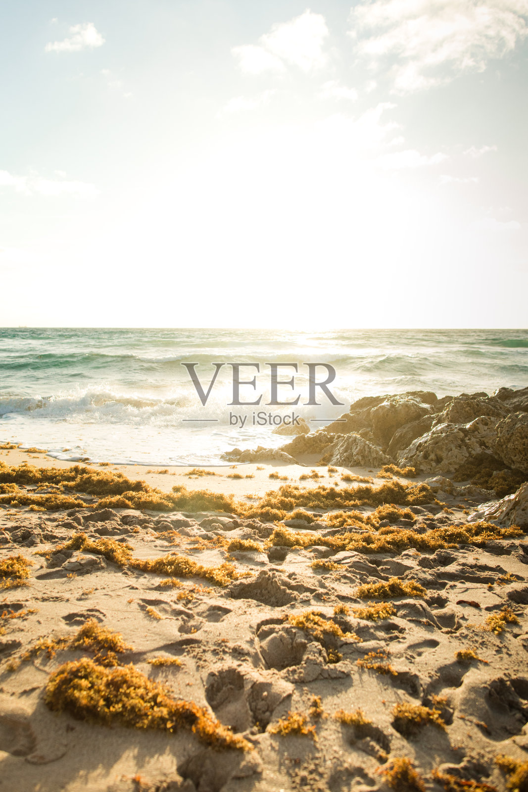 2023年春天，佛罗里达海岸棕榈滩上空的金色日出照片摄影图片