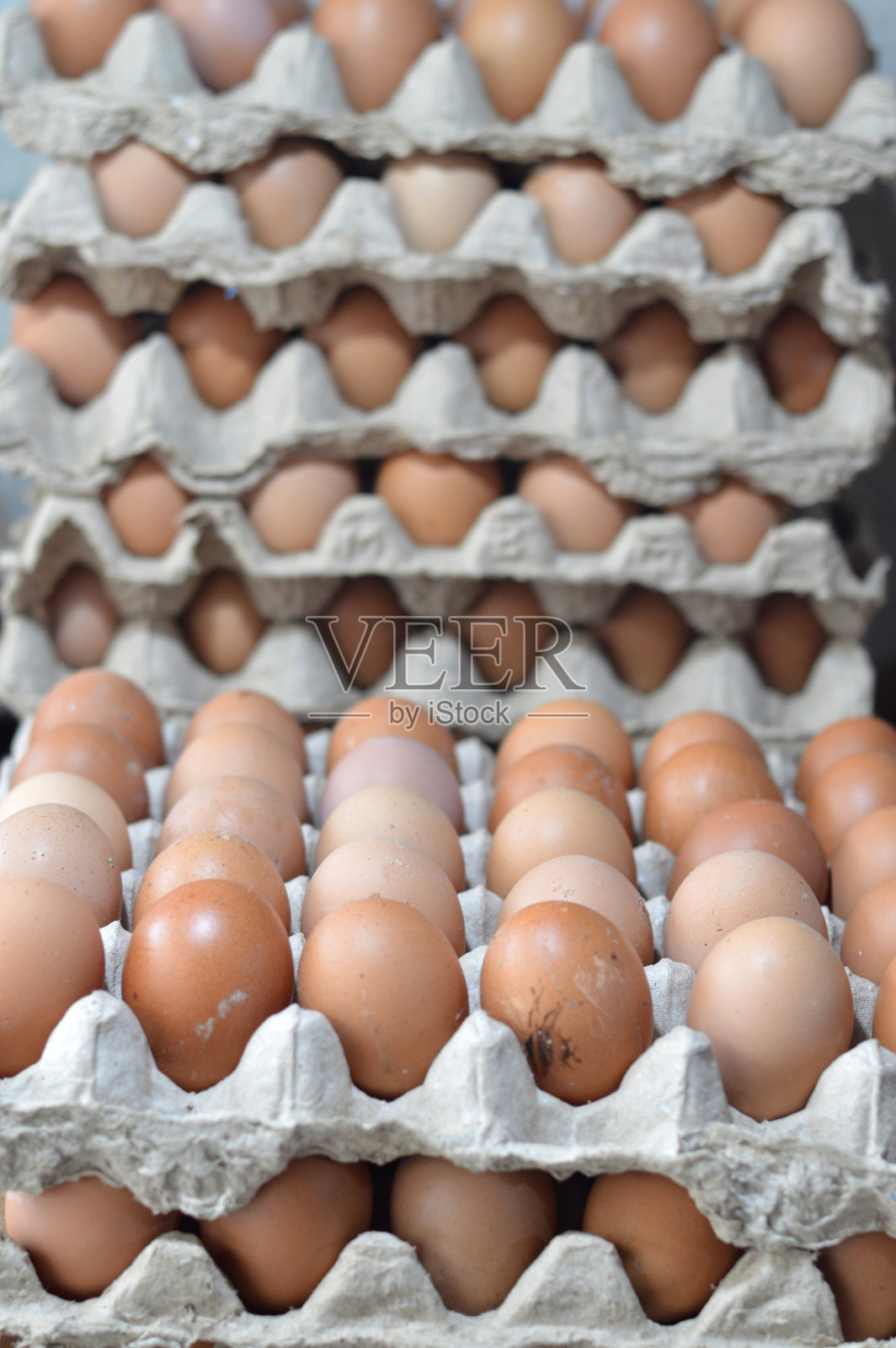 鸡蛋照片摄影图片