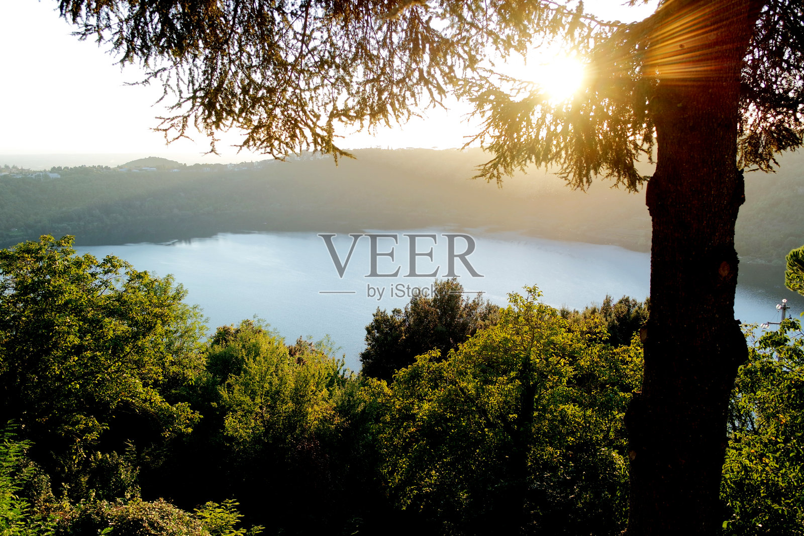 透过树林可以看到湖的景色照片摄影图片