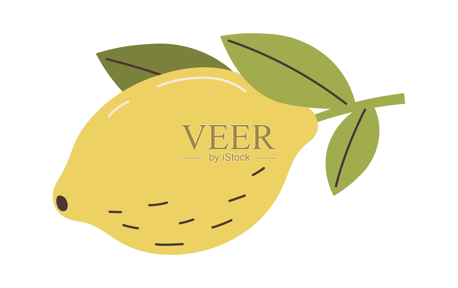 柠檬树枝上的水果插画图片素材