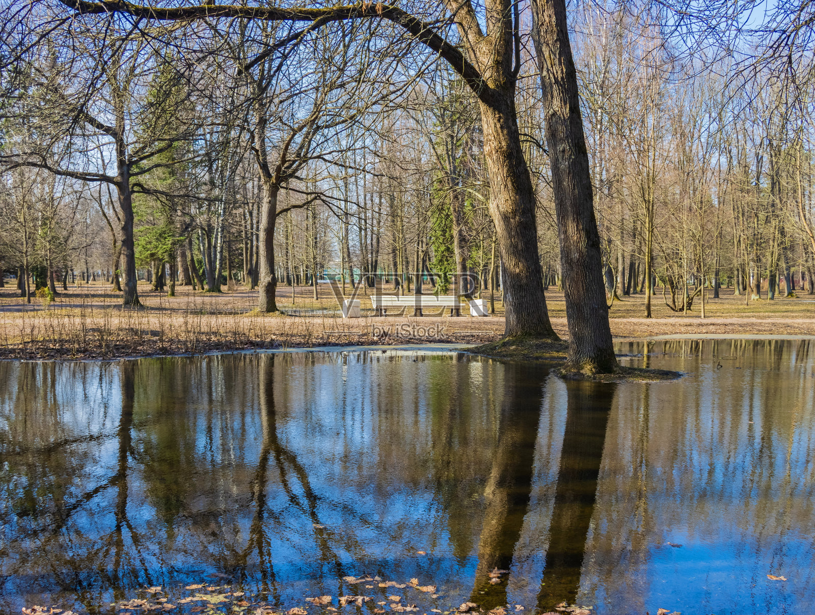 圣彼得堡的春天风光。克雷斯托夫斯基岛公园。城市的地标。照片摄影图片