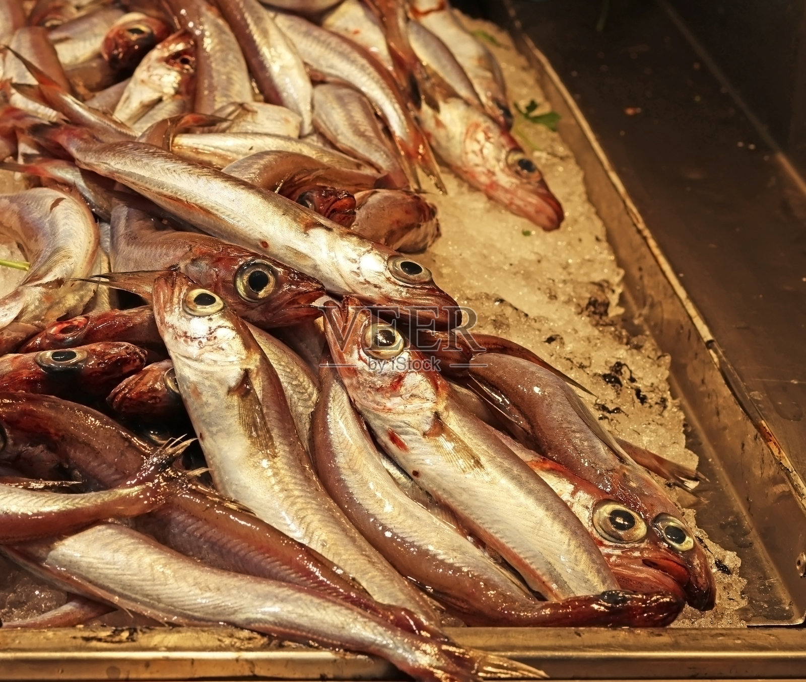 鱼市上的新鲜鱼照片摄影图片