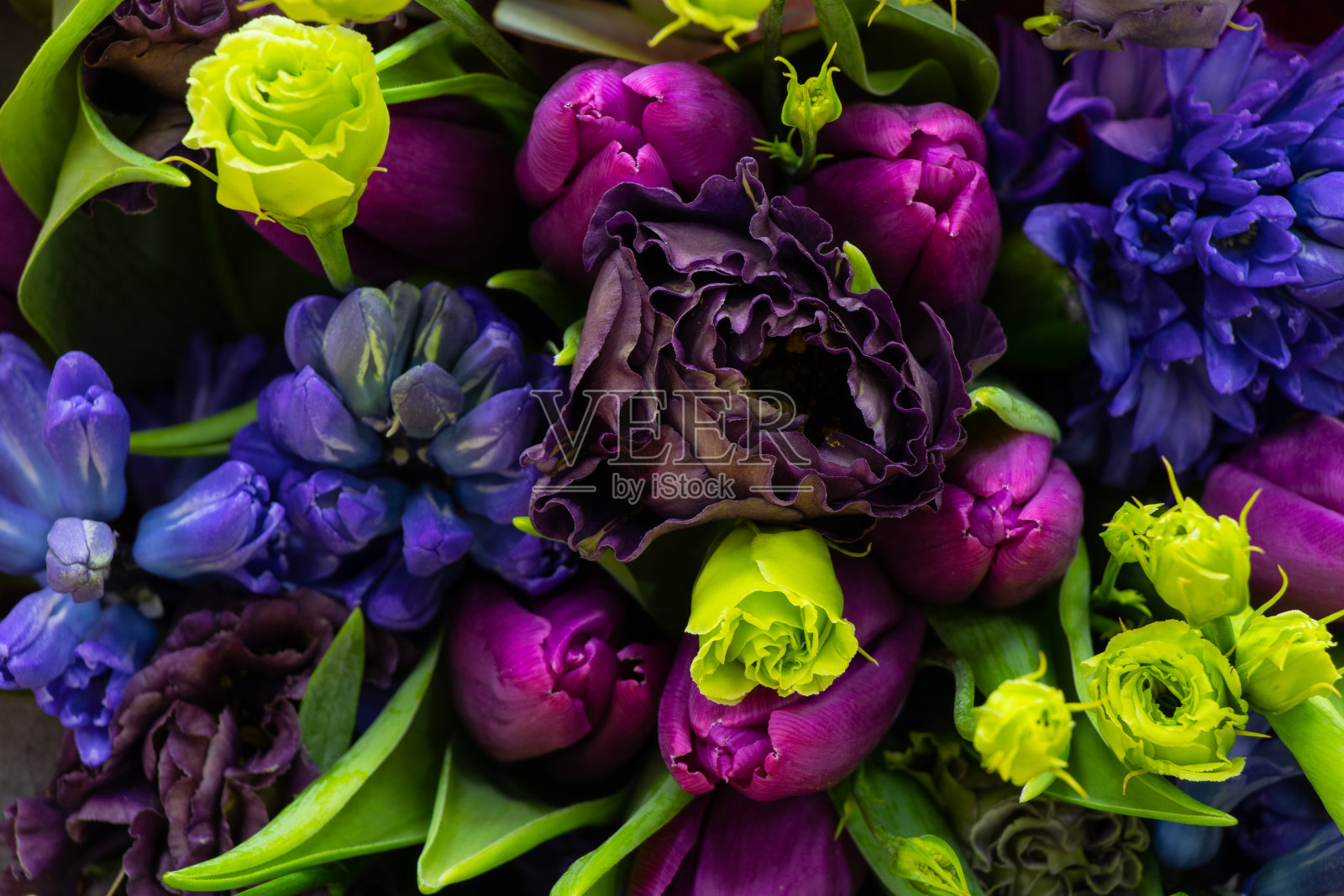 不同的花束背景照片摄影图片