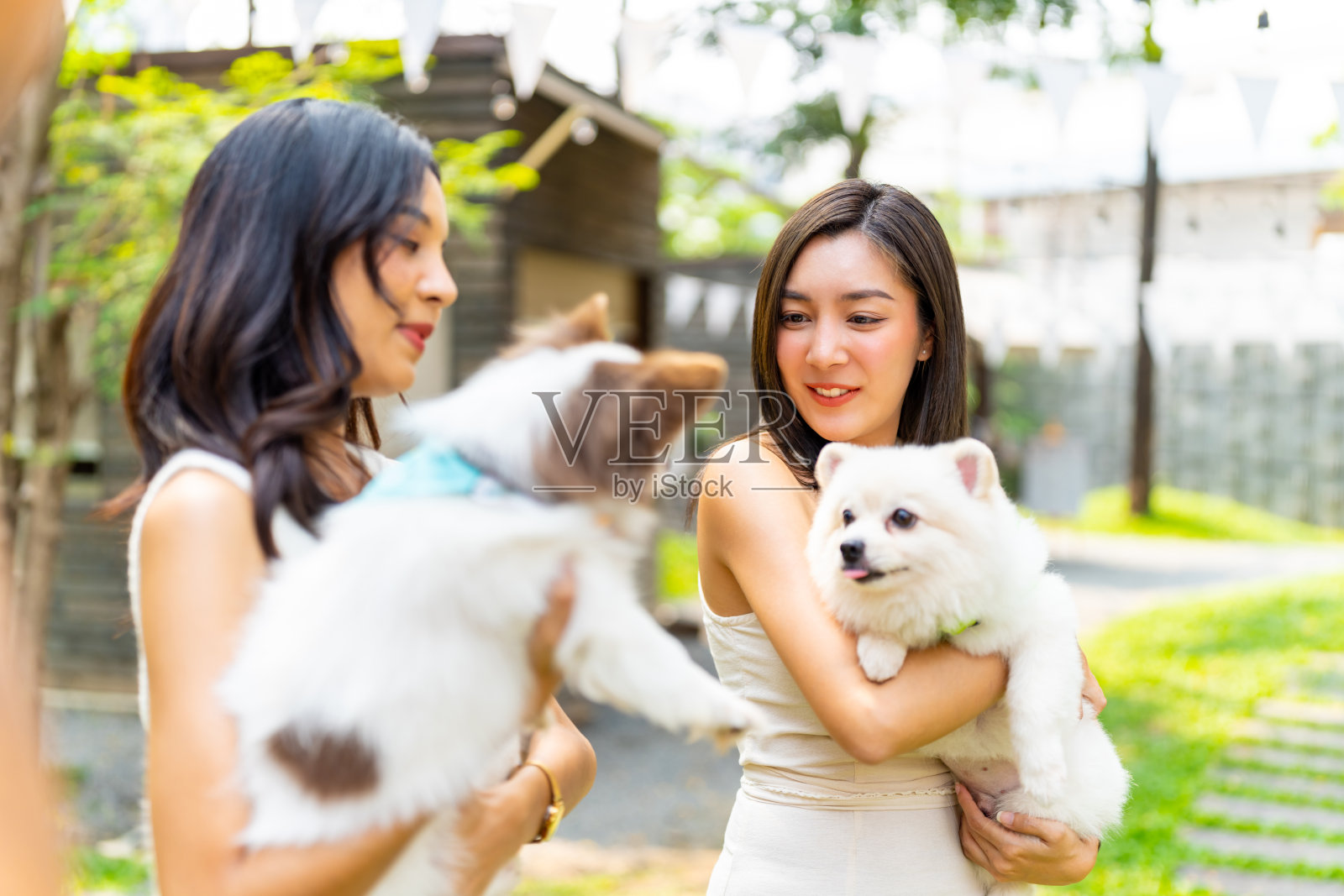 亚洲女性朋友带着她们的狗在宠物友好咖啡馆聚会。照片摄影图片