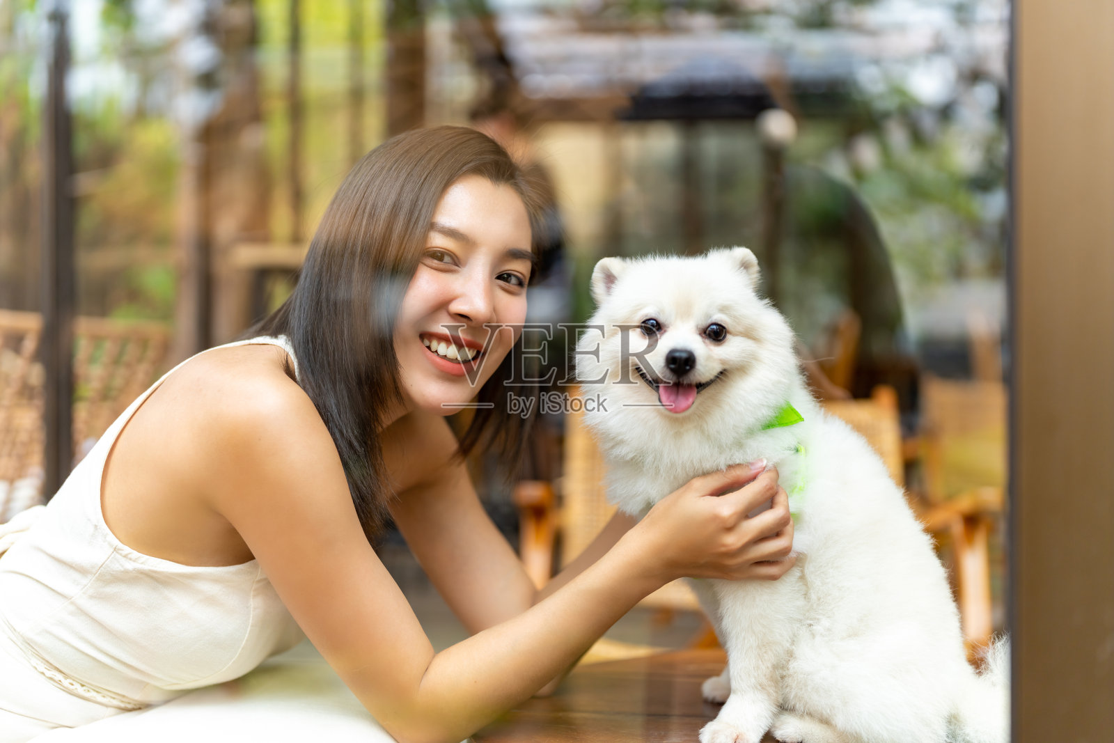 亚洲妇女在宠物友好餐厅与博美犬玩耍的肖像。照片摄影图片