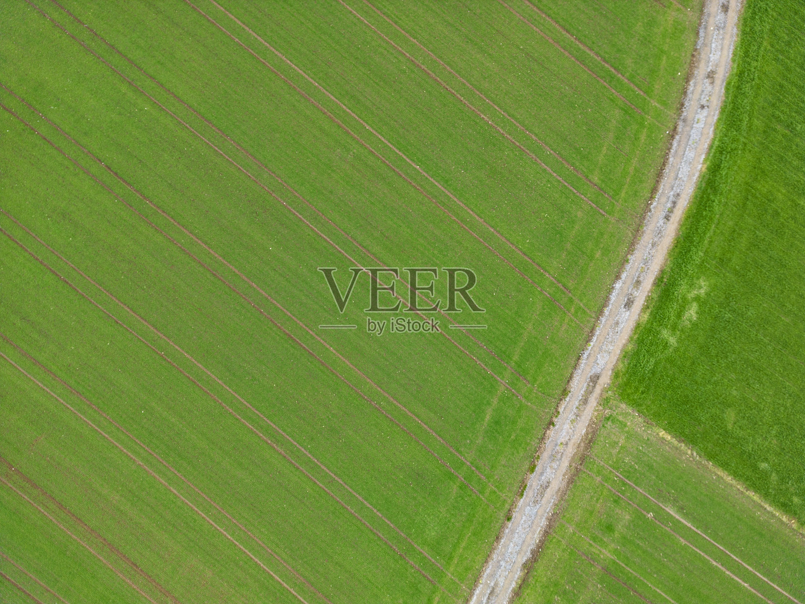 这张照片是用无人机从高处拍摄的，美丽的绿色田野和乡村道路照片摄影图片