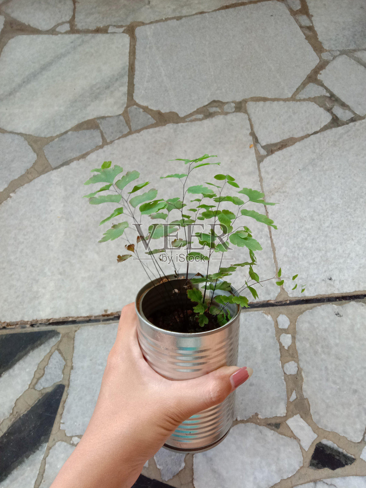 手持用过的锡罐照片摄影图片