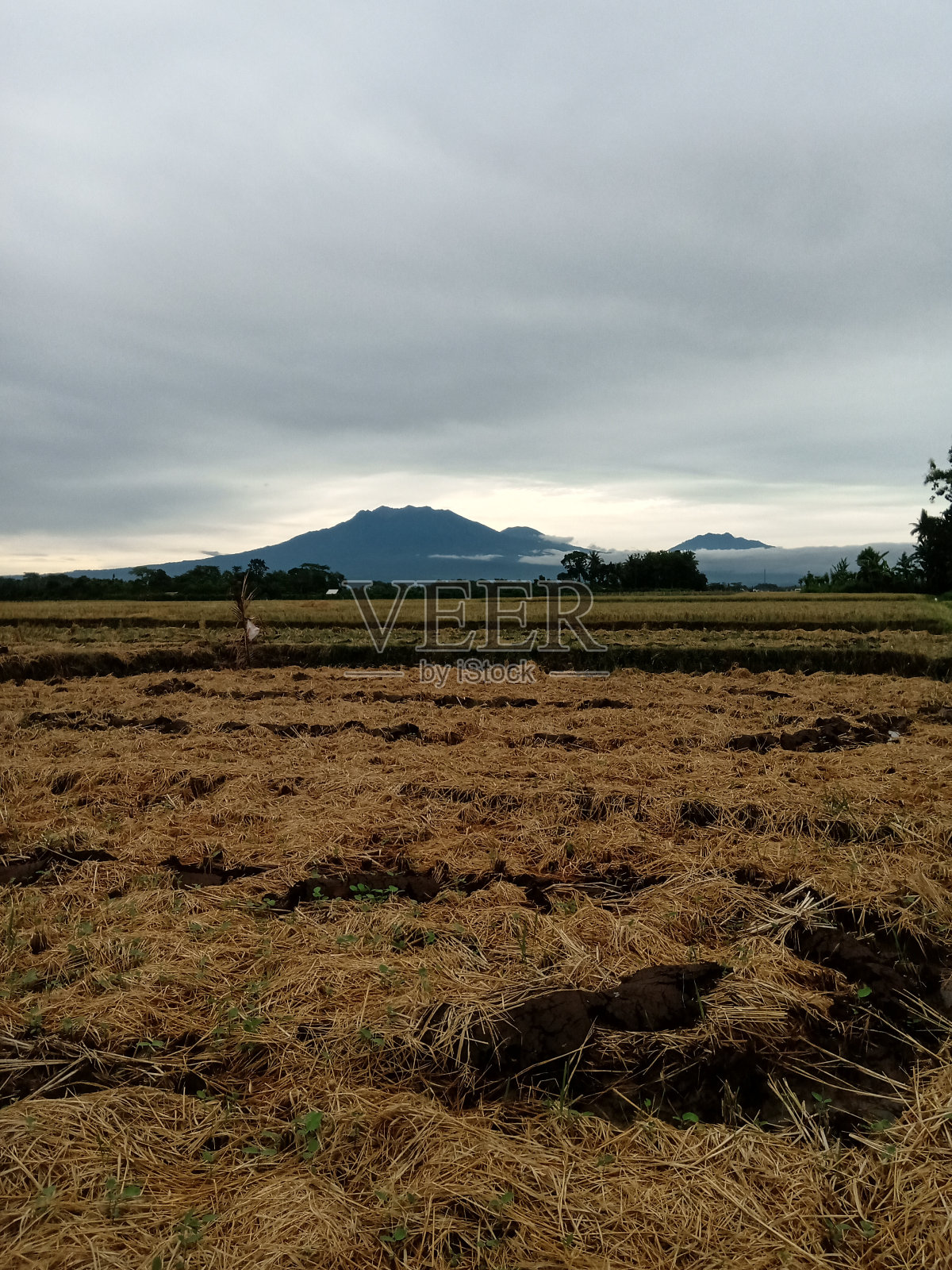 美丽风景照片摄影图片