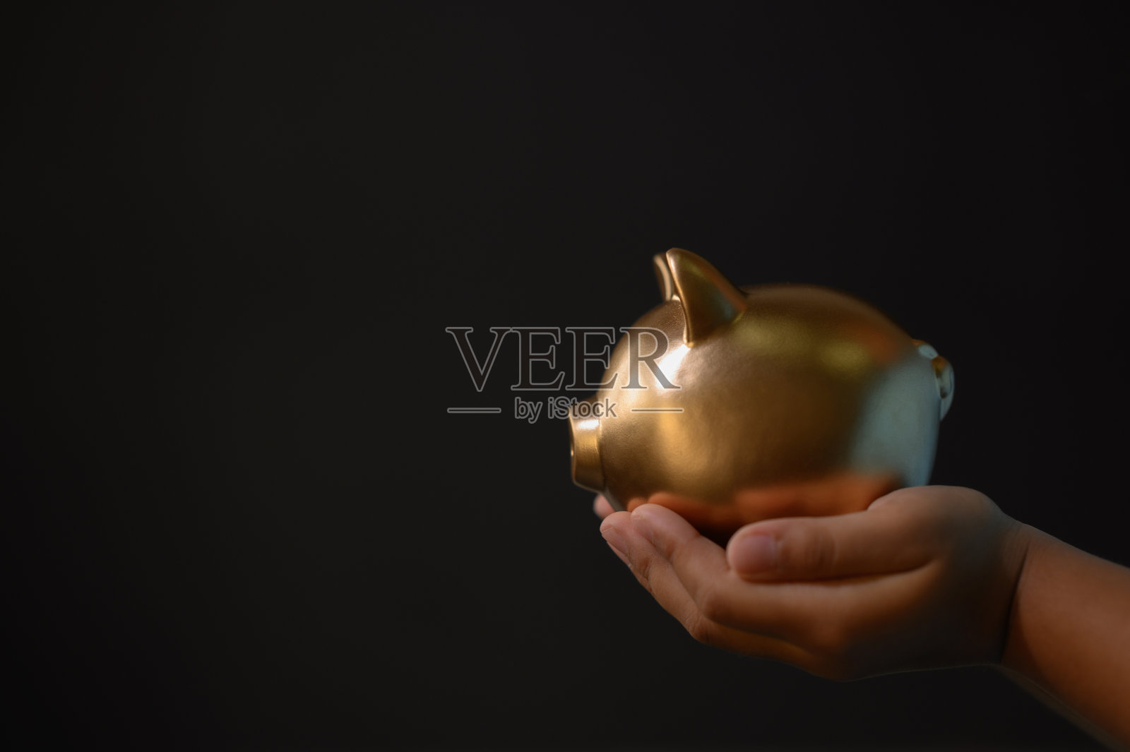 小男孩手捧金色储蓄罐，未来储蓄理念照片摄影图片