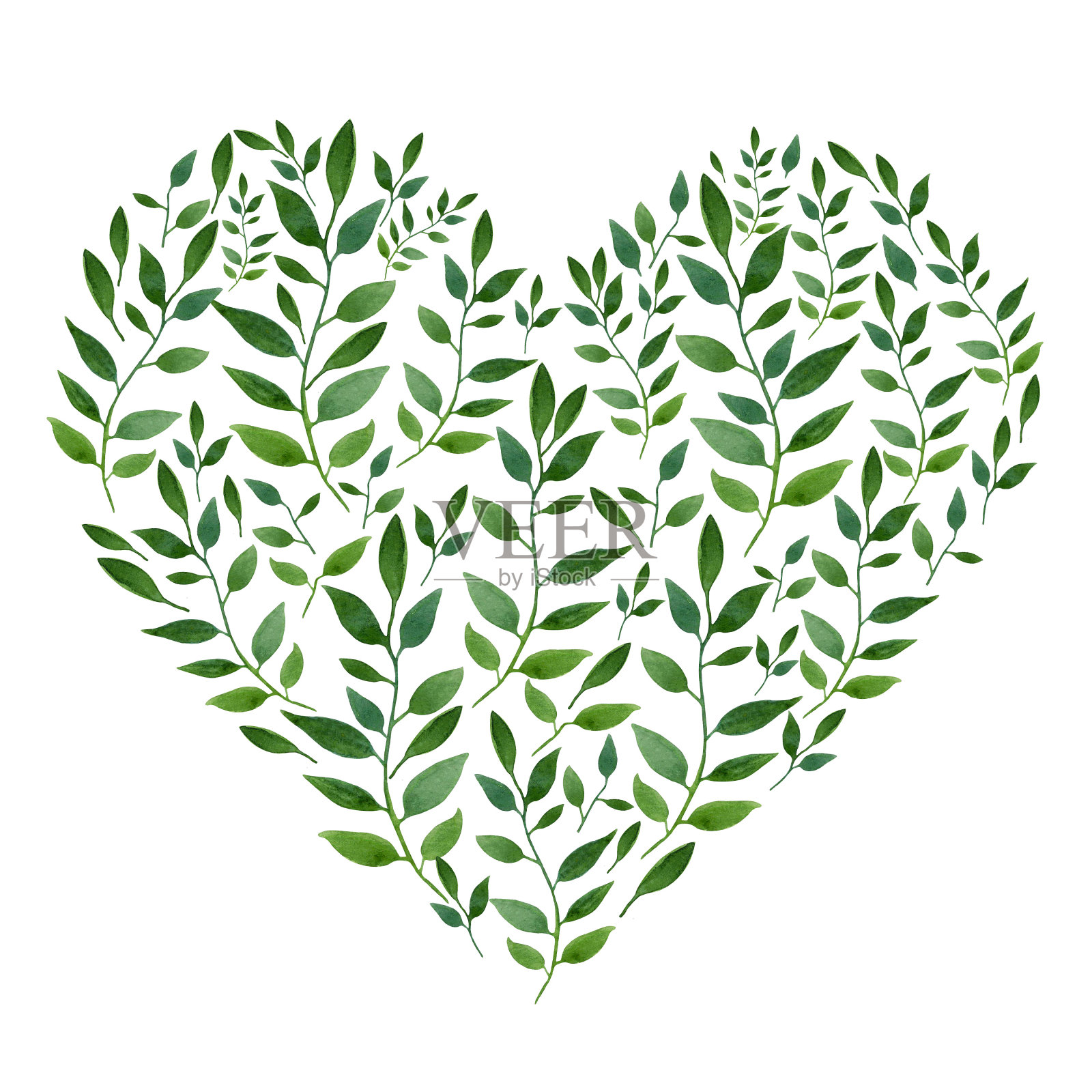 水彩画心形植物组成的绿叶插画图片素材