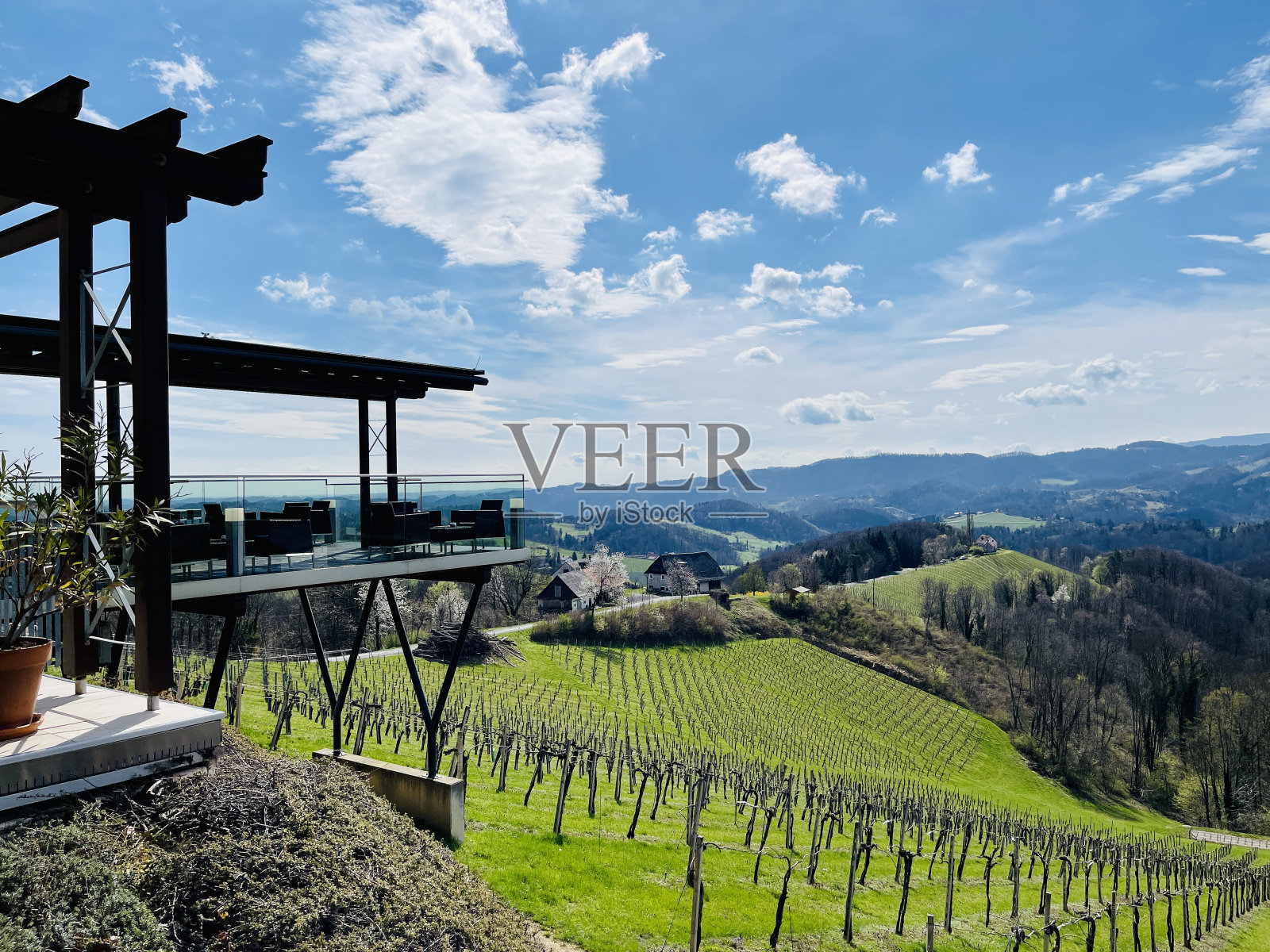 wineyards视图照片摄影图片