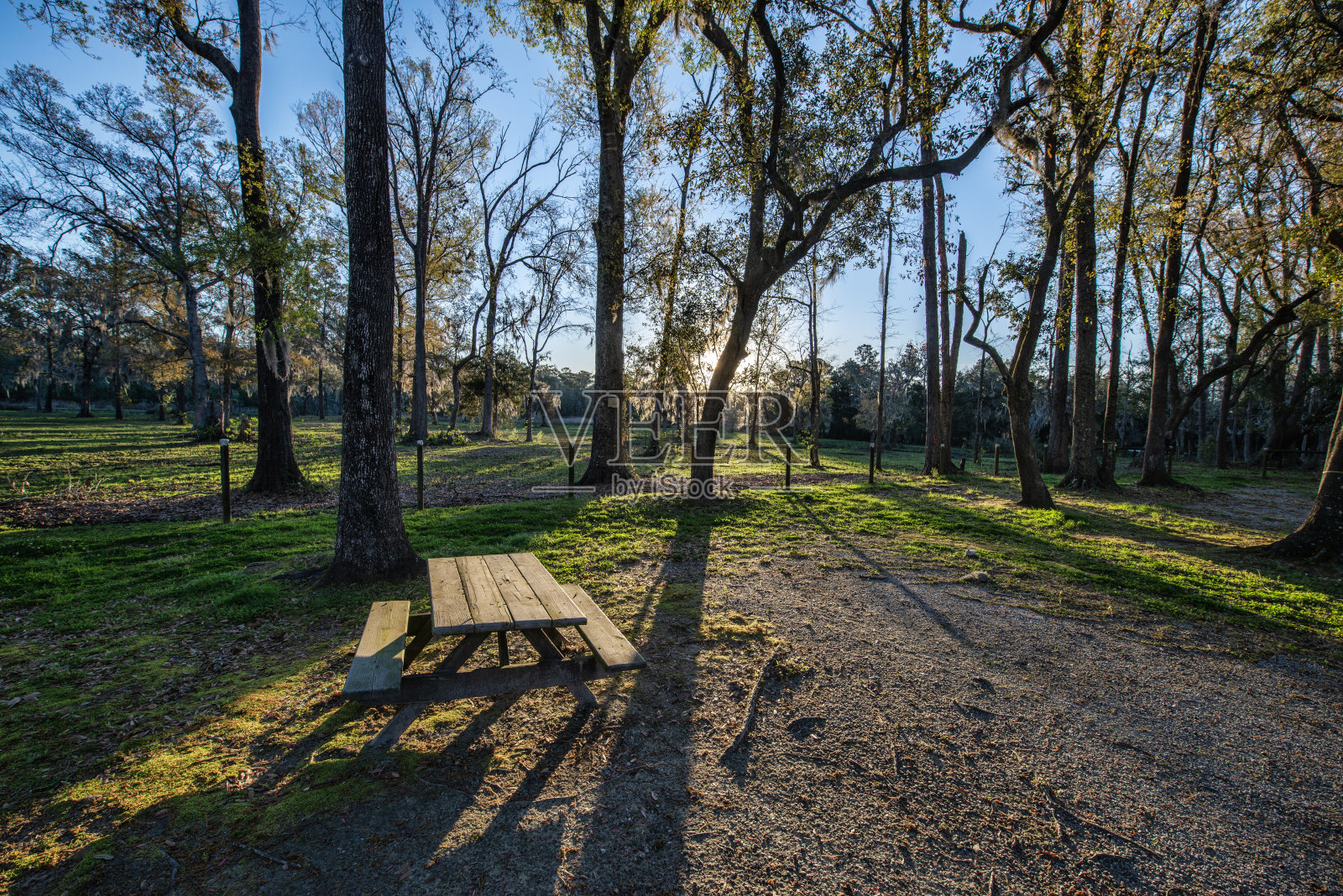 黎明营地照片摄影图片