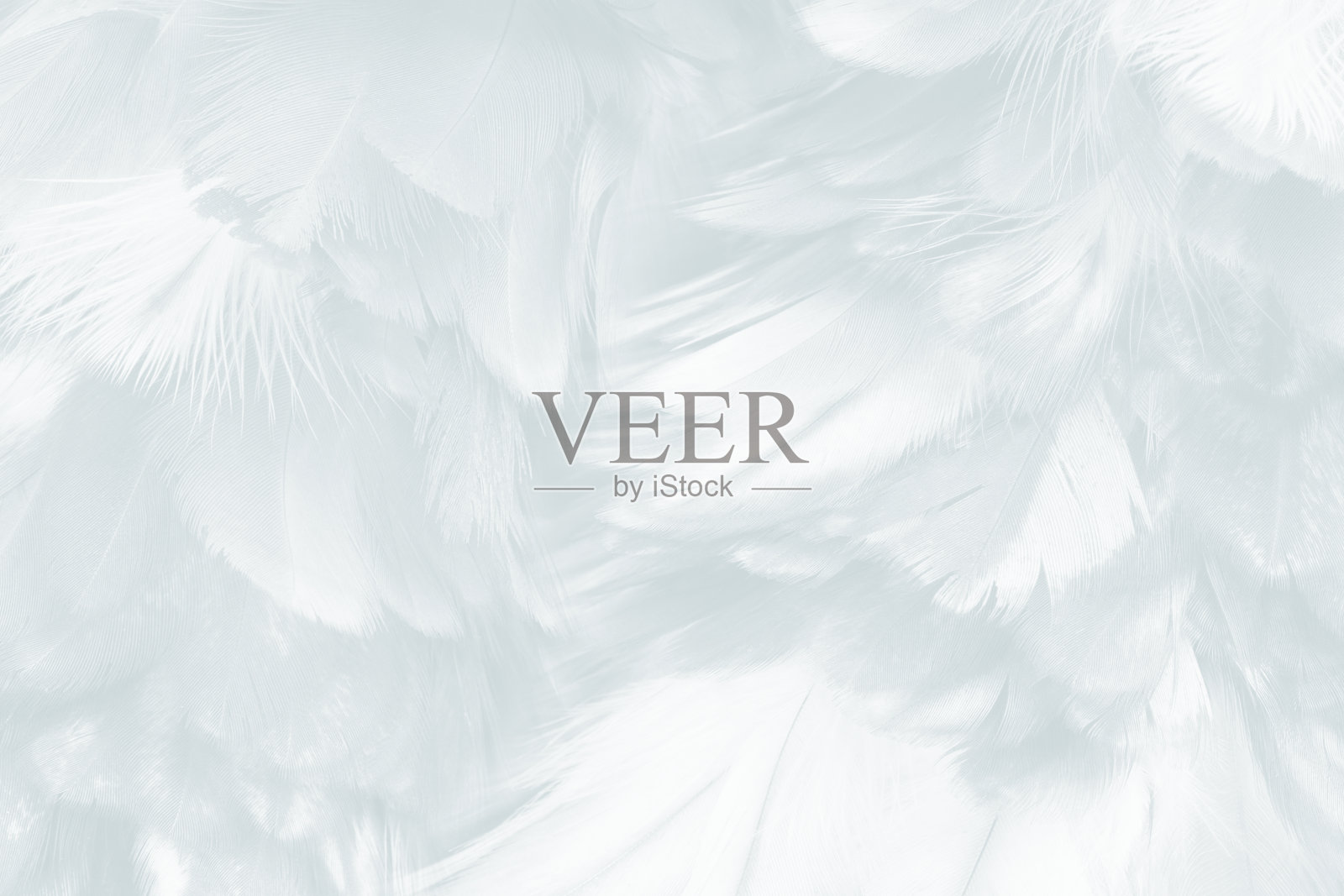 美丽的白色羽毛毛茸茸的图案纹理背景照片摄影图片