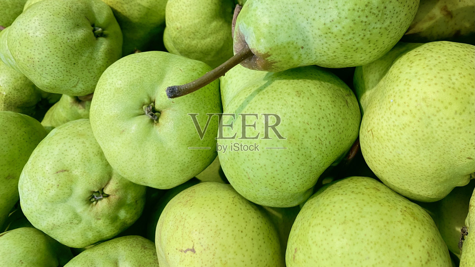 绿色梨照片摄影图片