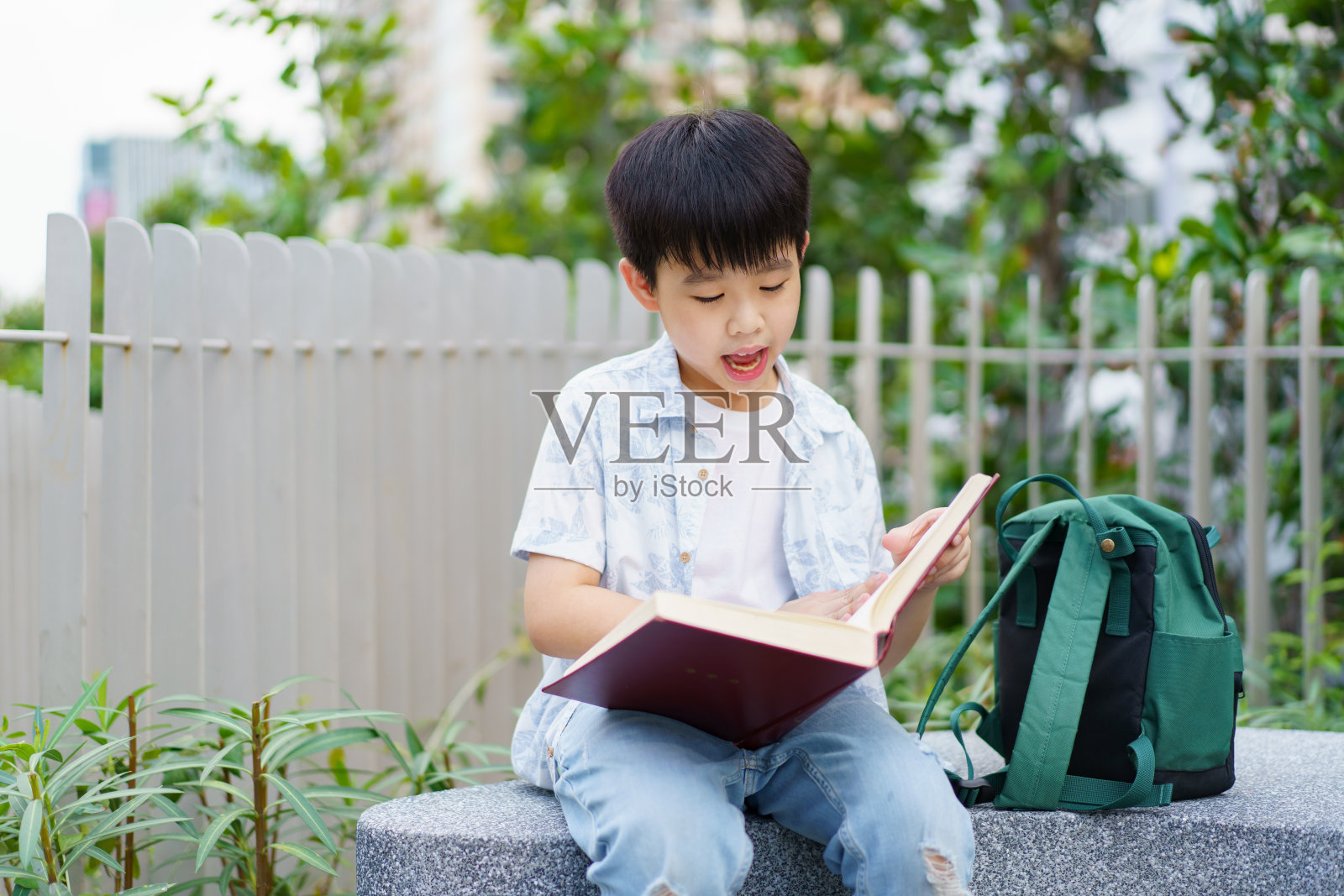 小男孩正在看书。照片摄影图片