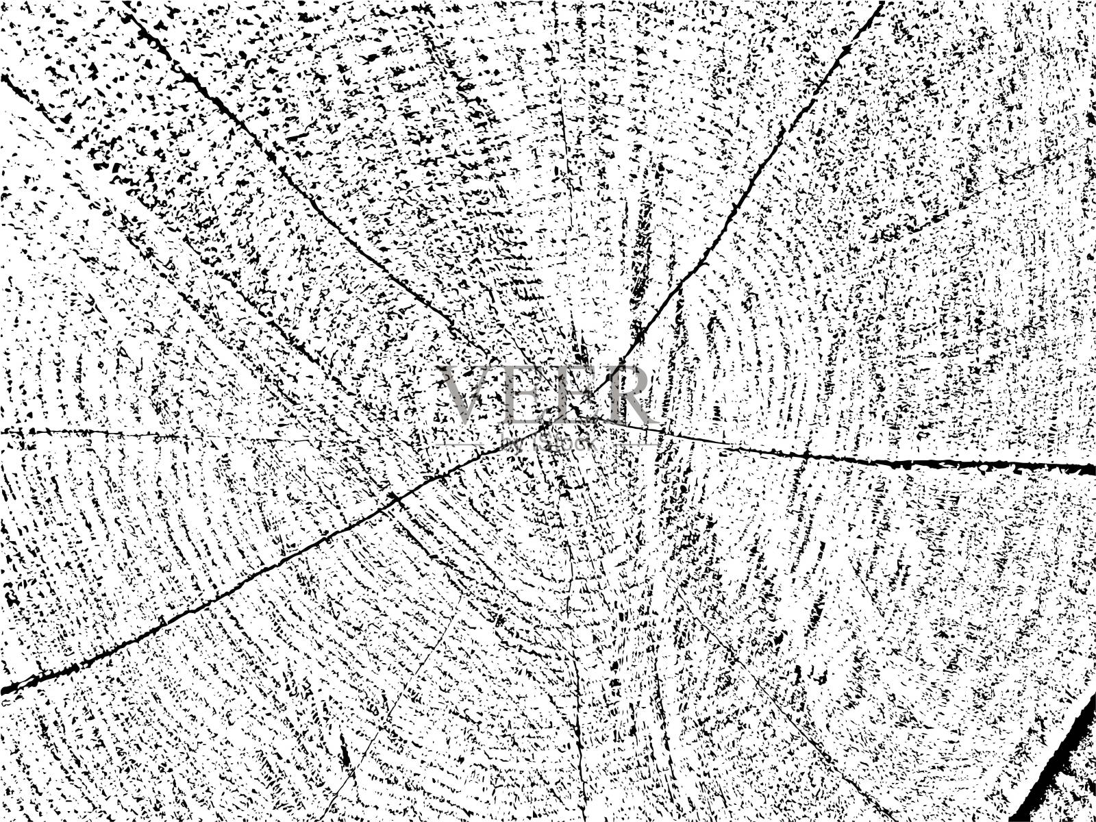 独特的，自然的垃圾纹理，具有裂缝和同心圆的树的横截面。单色，有机的背景理想的复古，质朴，和抽象的设计插画图片素材