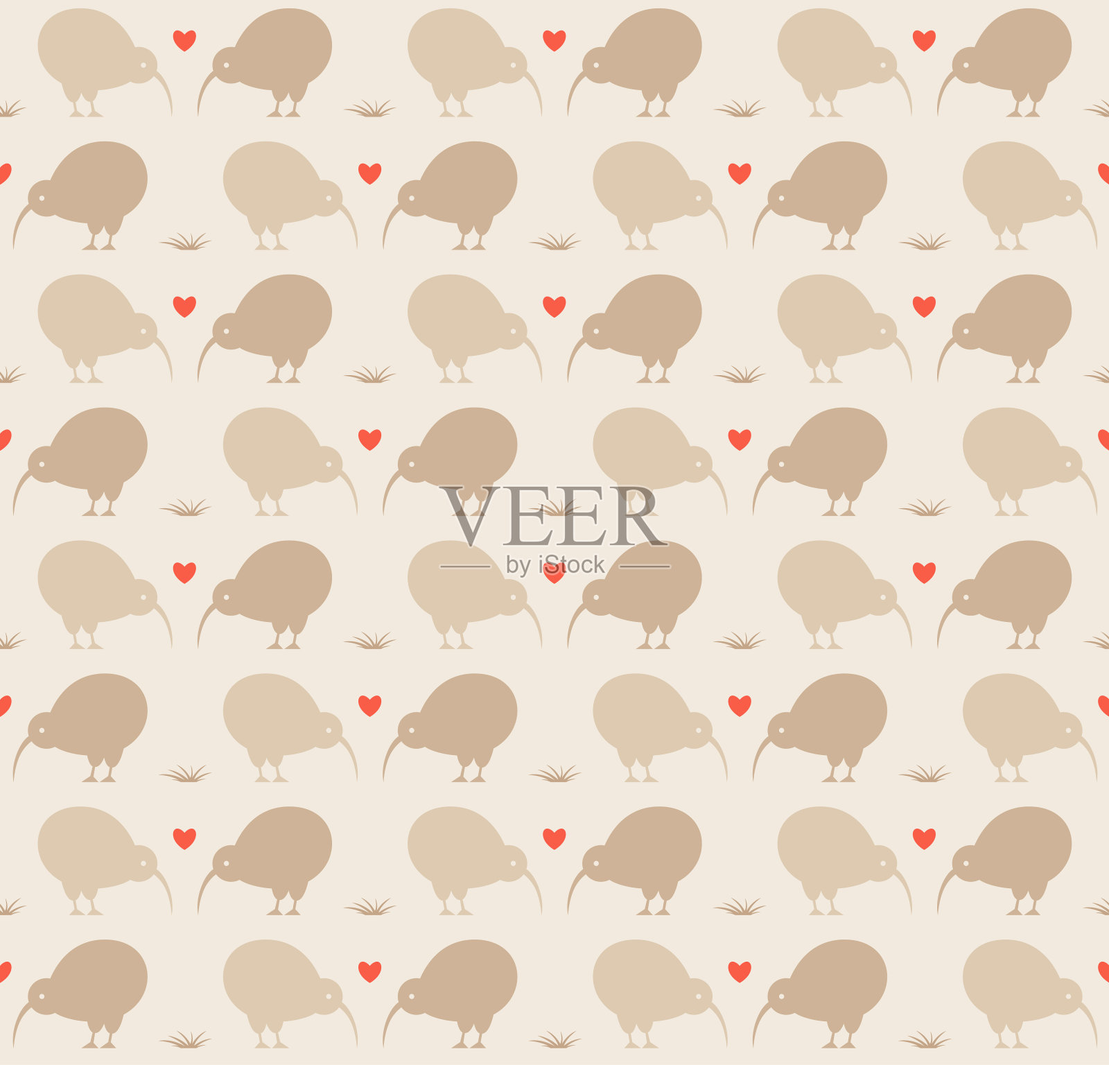 可爱的几维鸟插画图片素材